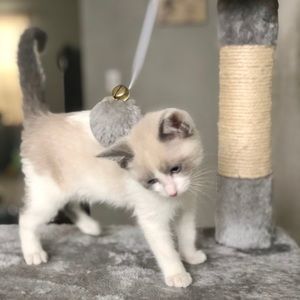 Meet your Posher, Alex